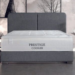 Dc Good Will Pocket Spring Cooler Mattress for Comfortable Sleep