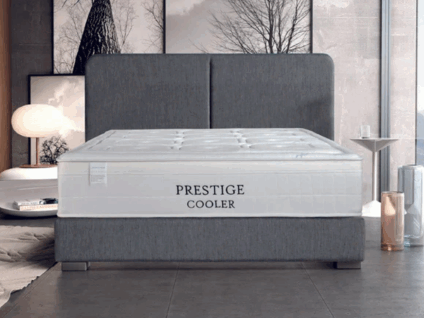 Dc Good Will Pocket Spring Cooler Mattress for Comfortable Sleep